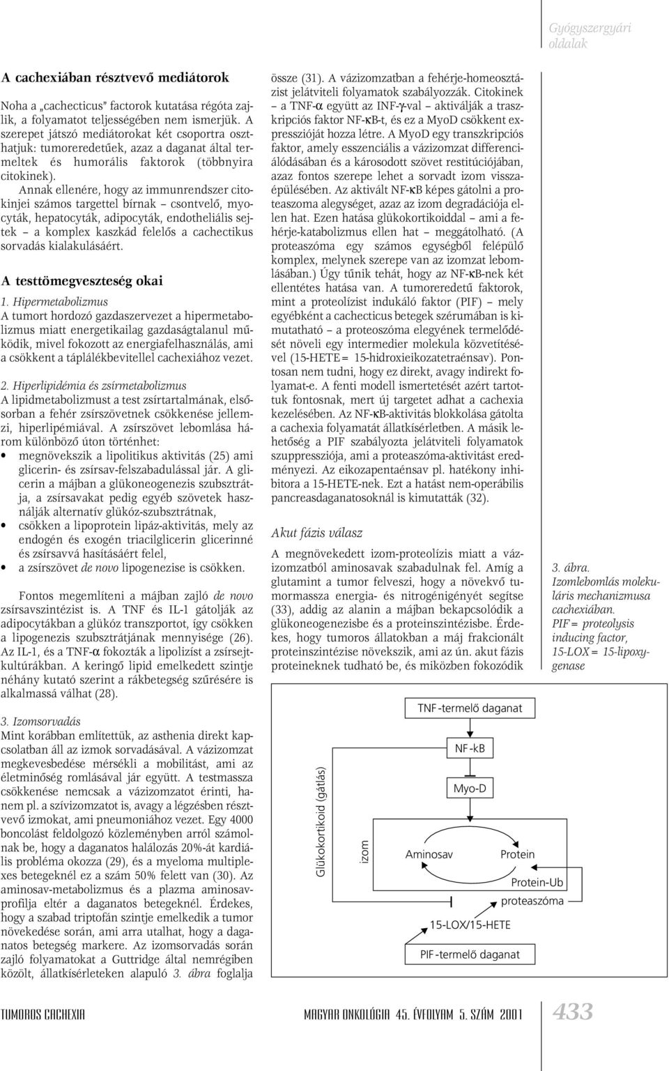 Annak ellenére, hogy az immunrendszer citokinjei számos targettel bírnak csontvelô, myocyták, hepatocyták, adipocyták, endotheliális sejtek a komplex kaszkád felelôs a cachectikus sorvadás