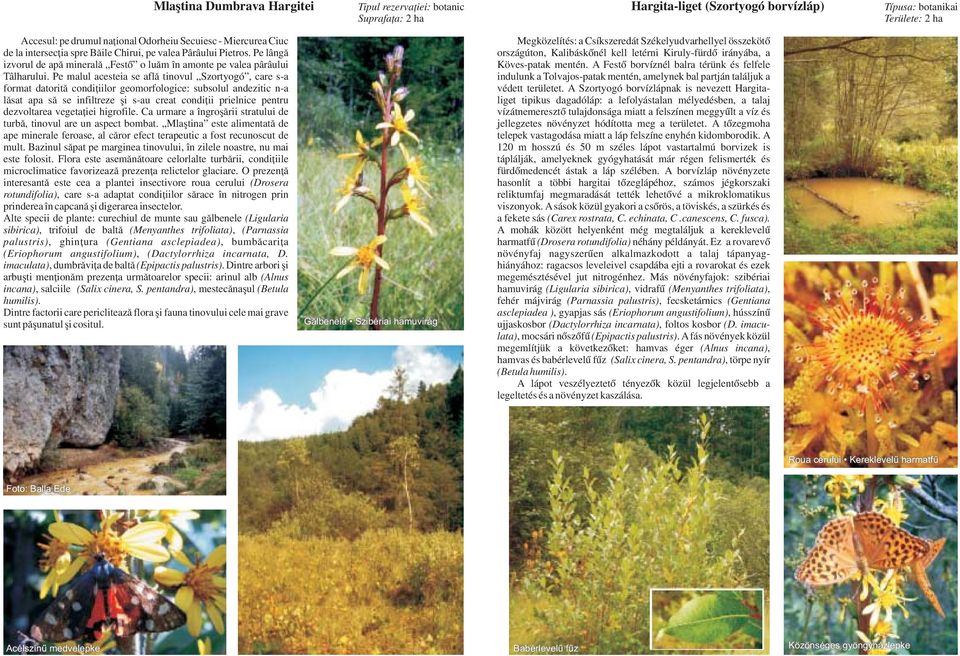 Pe malul acesteia se aflã tinovul Szortyogó, care s-a format datoritã condiþiilor geomorfologice: subsolul andezitic n-a lãsat apa sã se infiltreze ºi s-au creat condiþii prielnice pentru dezvoltarea