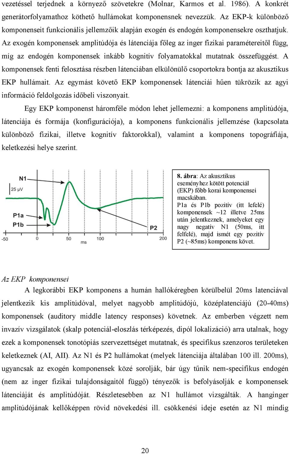 Az exogén komponensek amplitúdója és látenciája főleg az inger fizikai paramétereitől függ, míg az endogén komponensek inkább kognitív folyamatokkal mutatnak összefüggést.