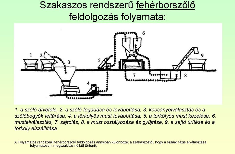 mustelválasztás, 7. sajtolás, 8. a must osztályozása és gyűjtése, 9.