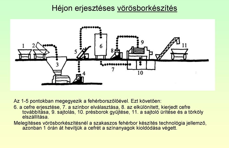 sajtolás, 10. présborok gyűjtése, 11. a sajtoló ürítése és a törköly elszállítása.