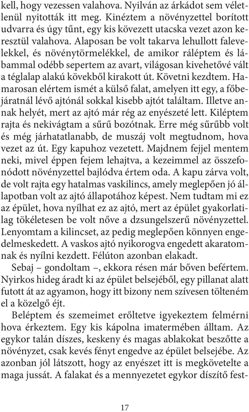 Követni kezdtem. Hamarosan elértem ismét a külső falat, amelyen itt egy, a főbejáratnál lévő ajtónál sokkal kisebb ajtót találtam. Illetve annak helyét, mert az ajtó már rég az enyészeté lett.