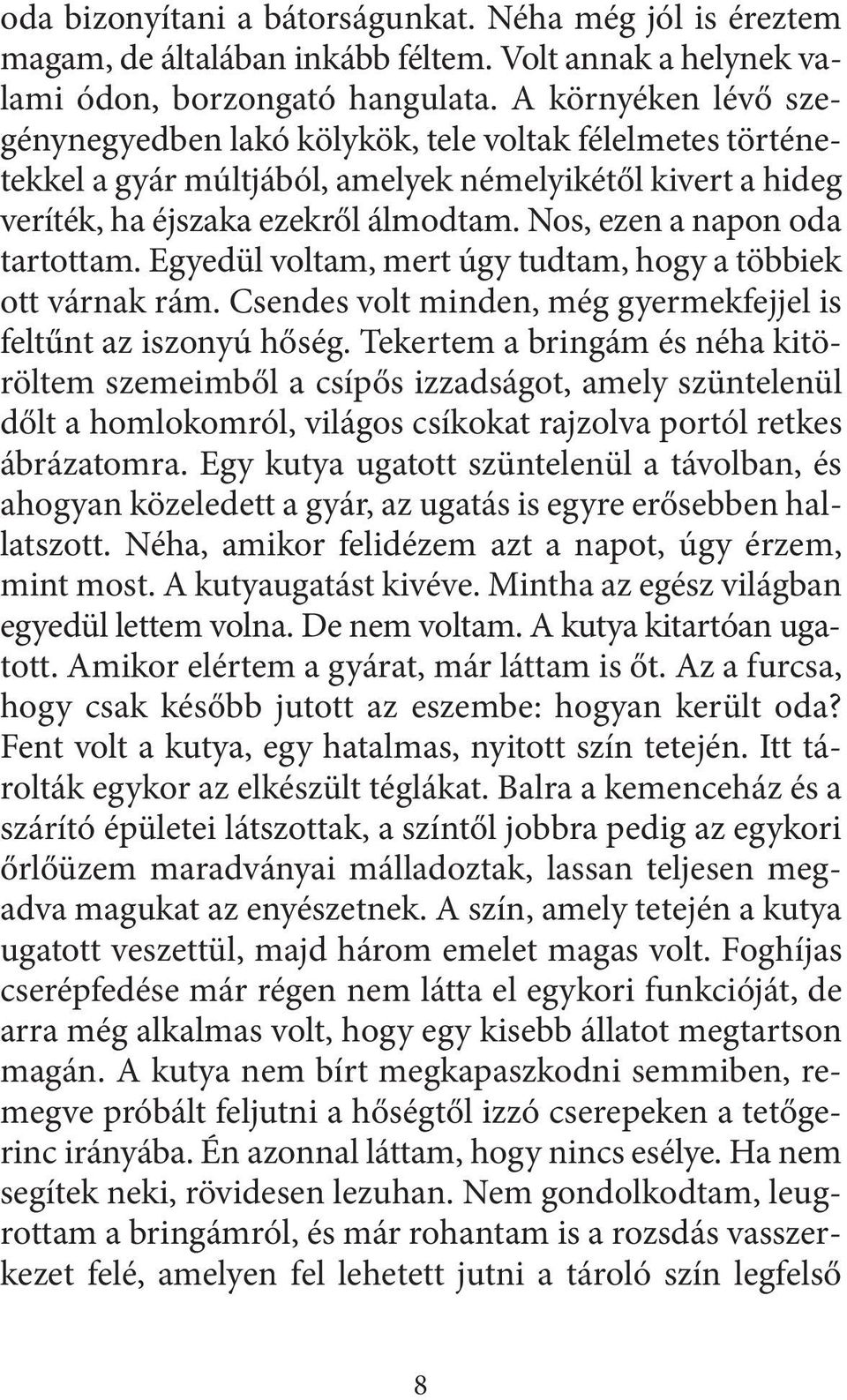 Nos, ezen a napon oda tartottam. Egyedül voltam, mert úgy tudtam, hogy a többiek ott várnak rám. Csendes volt minden, még gyermekfejjel is feltűnt az iszonyú hőség.