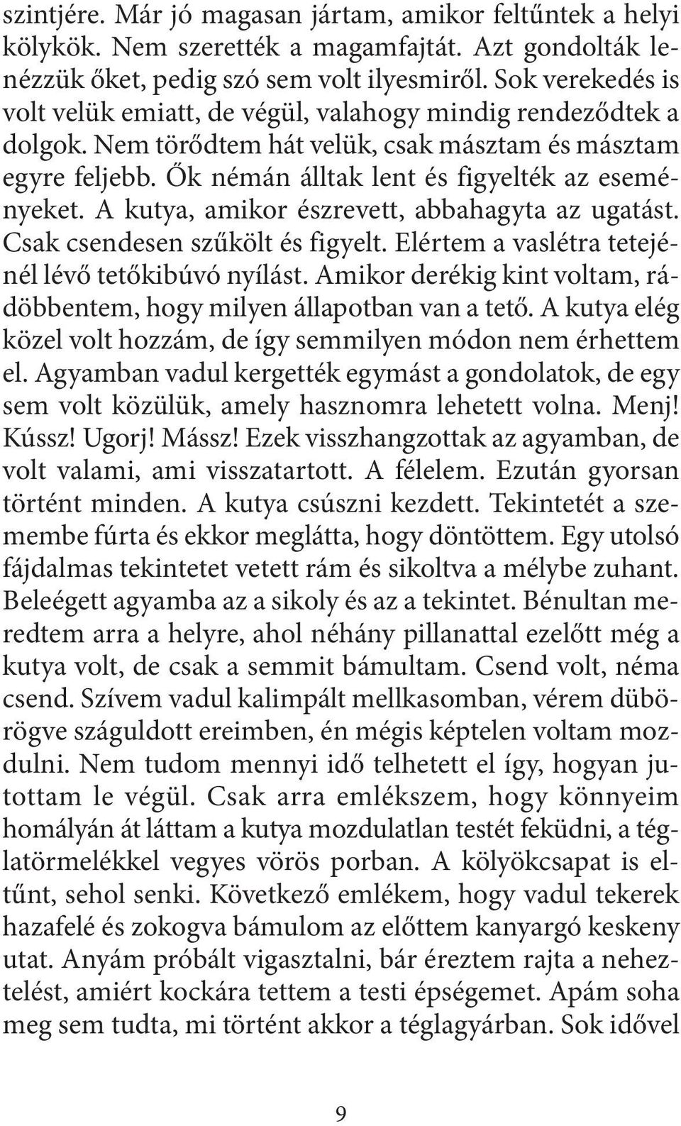 A kutya, amikor észrevett, abbahagyta az ugatást. Csak csendesen szűkölt és figyelt. Elértem a vaslétra tetejénél lévő tetőkibúvó nyílást.