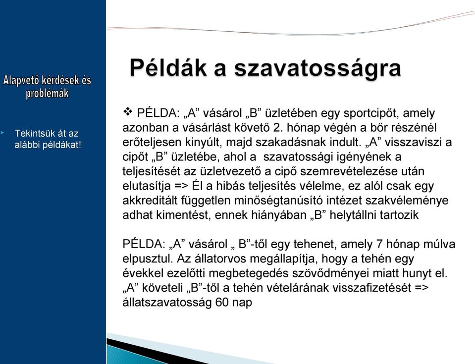 A visszaviszi a cipőt B üzletébe, ahol a szavatossági igényének a teljesítését az üzletvezető a cipő szemrevételezése után elutasítja => Él a hibás teljesítés vélelme, ez alól csak egy