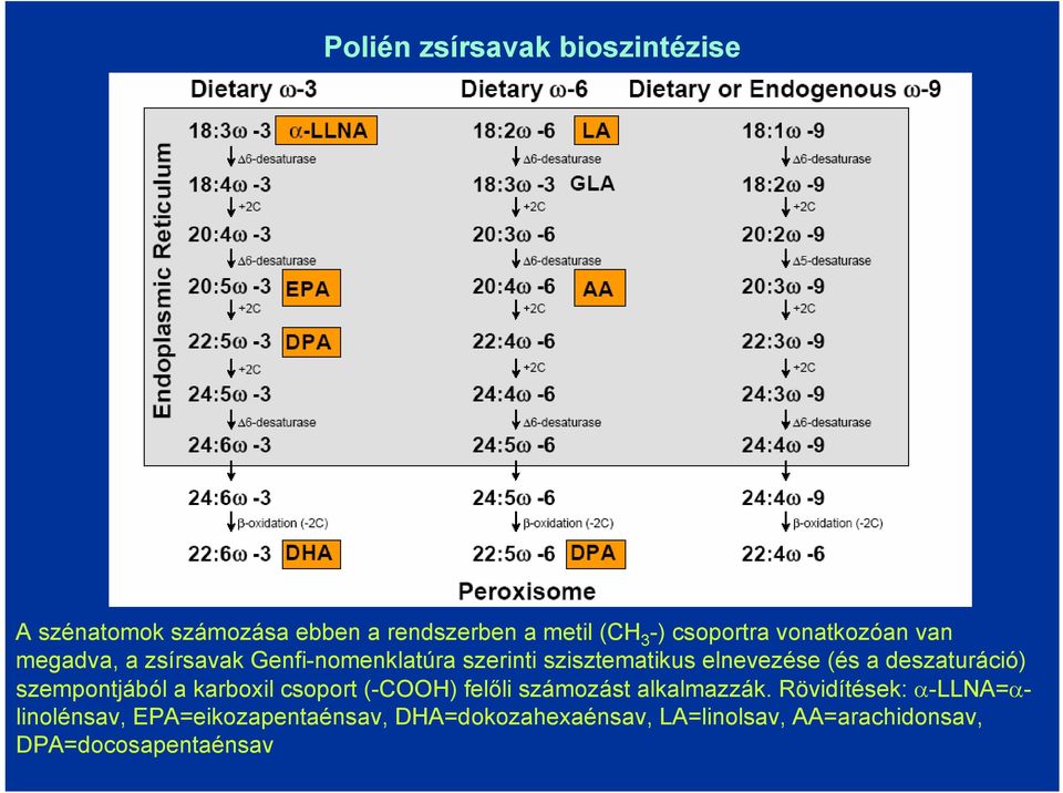 deszaturáció) szempontjából a karboxil csoport (-COOH) felőli számozást alkalmazzák.