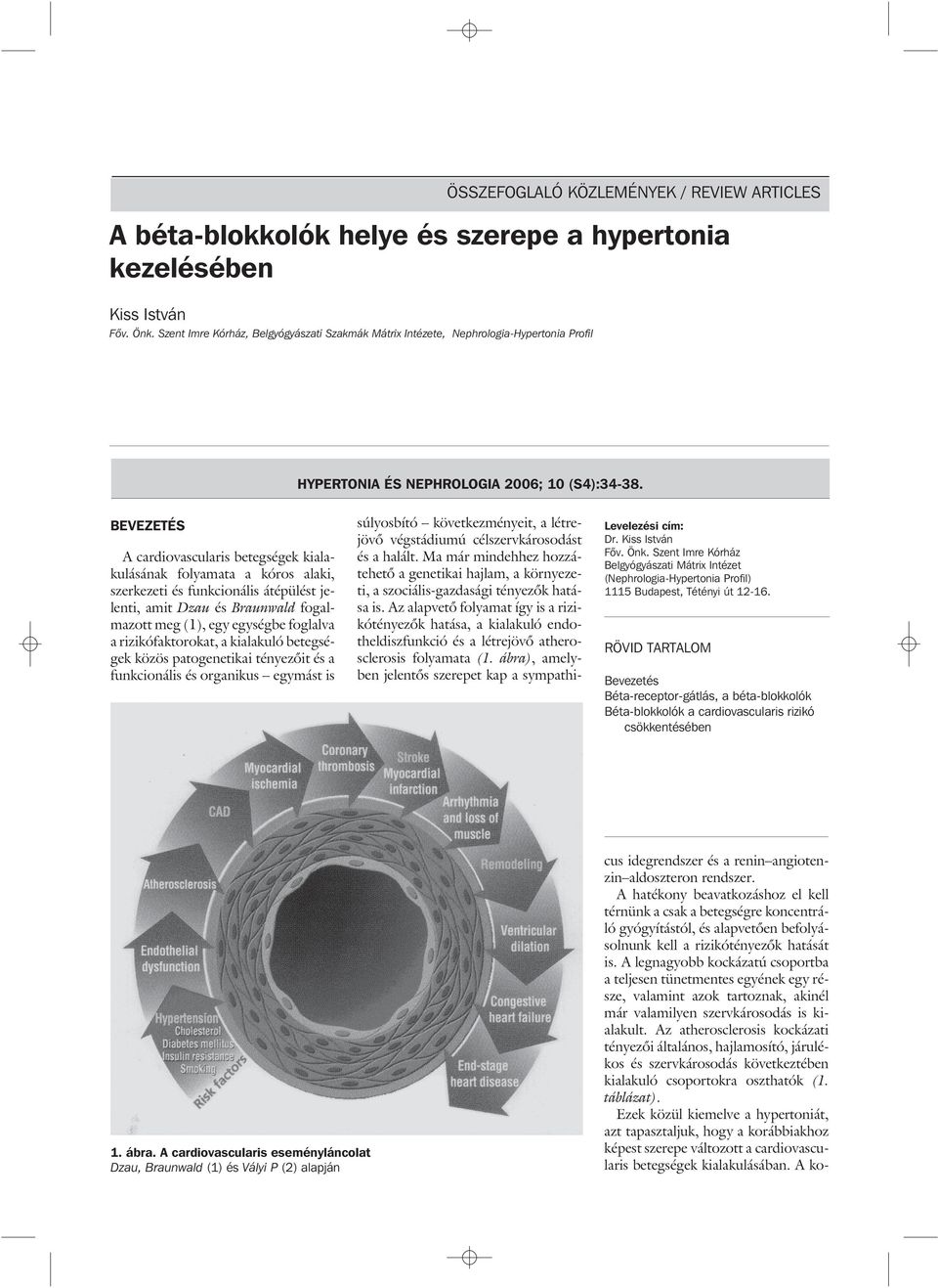 BEVEZETÉS A cardiovascularis betegségek kialakulásának folyamata a kóros alaki, szerkezeti és funkcionális átépülést jelenti, amit Dzau és Braunwald fogalmazott meg (1), egy egységbe foglalva a