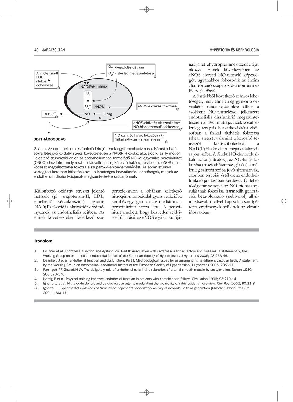 Károsító hatásokra létrejövõ oxidatív stress következtében a NAD(P)H oxidáz aktiválódik, az ily módon keletkezõ szuperoxid-anion az endotheliumban termelõdõ N-val egyesülve peroxinitritet (N-) hoz