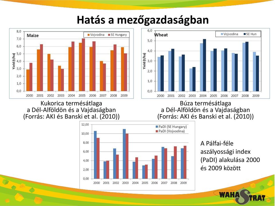 (2010)) Búza termésátlaga a Dél-Alföldön és a  (2010)) A Pálfai-féle