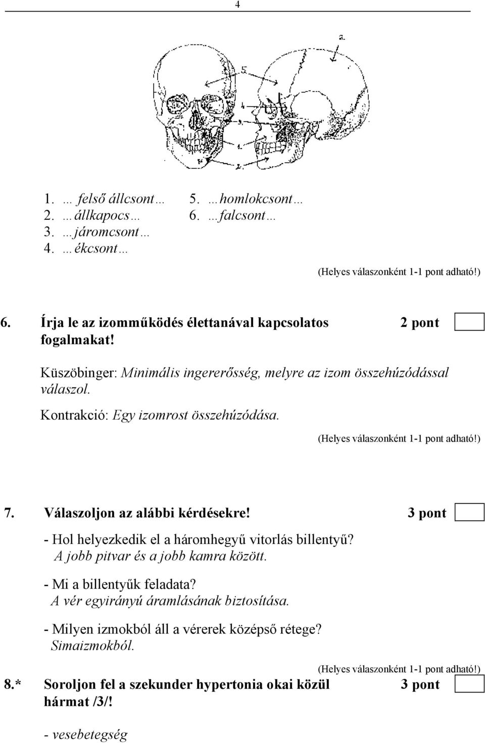 3 pont - Hol helyezkedik el a háromhegyű vitorlás billentyű? A jobb pitvar és a jobb kamra között. - Mi a billentyűk feladata?