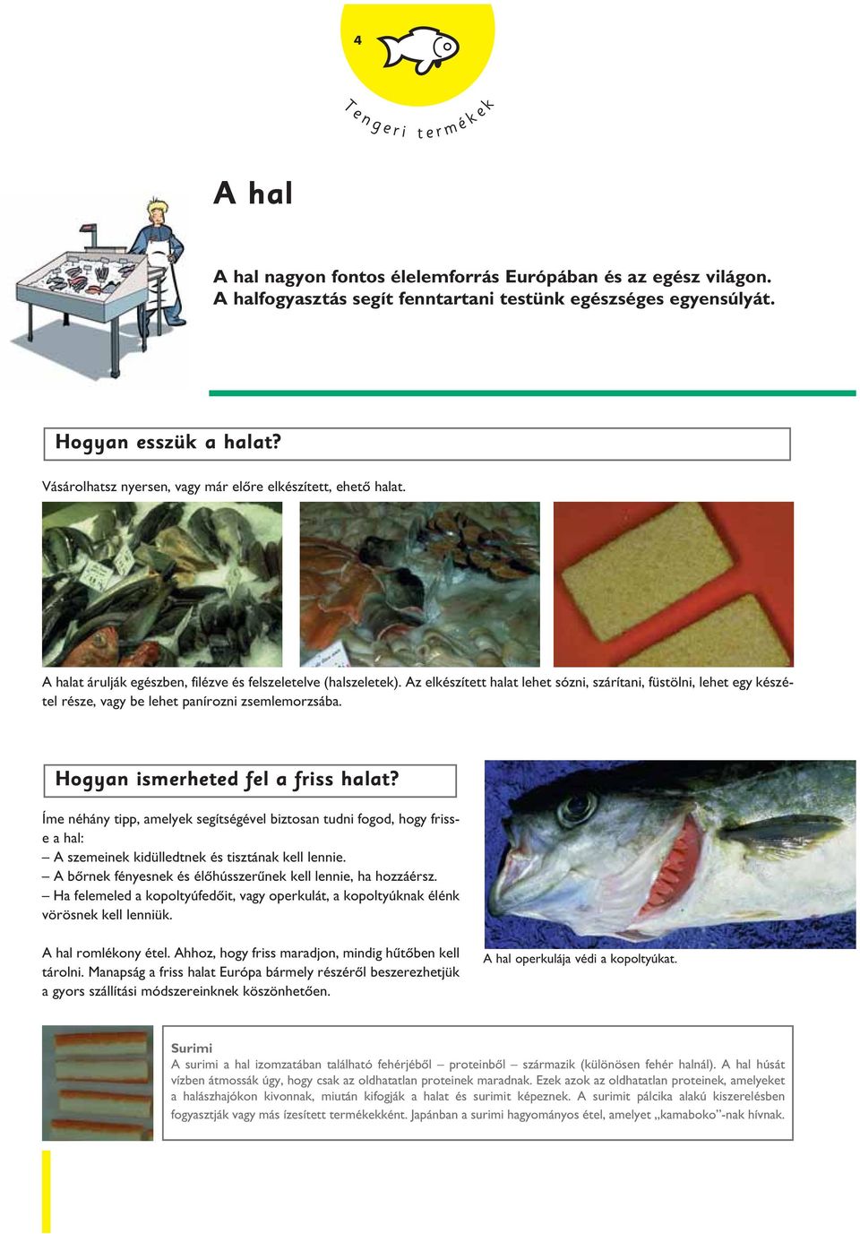 Az elkészített halat lehet sózni, szárítani, füstölni, lehet egy készétel része, vagy be lehet panírozni zsemlemorzsába. Hogyan ismerheted fel a friss halat?