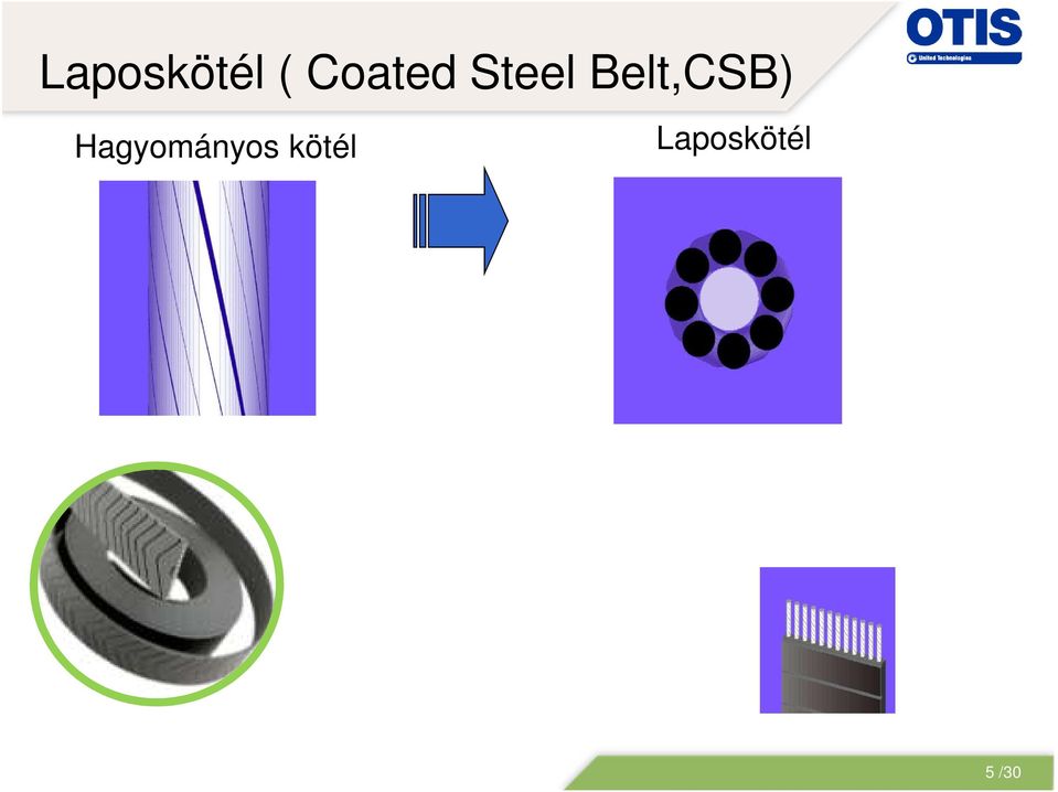 Belt,CSB)