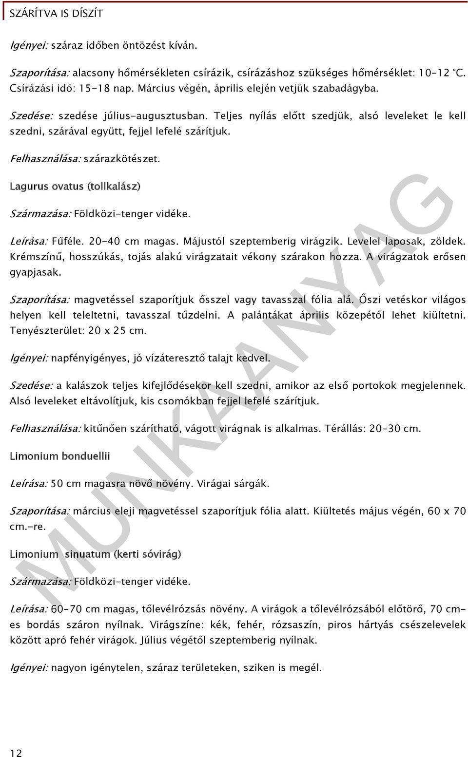 Felhasználása: szárazkötészet. Lagurus ovatus (tollkalász) Származása: Földközi-tenger vidéke. Leírása: Fűféle. 20-40 cm magas. Májustól szeptemberig virágzik. Levelei laposak, zöldek.