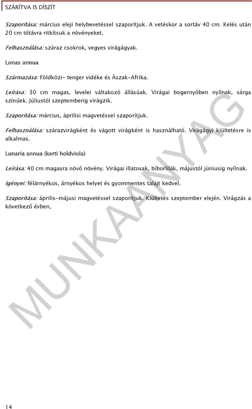 Szaporítása: március, áprilisi magvetéssel szaporítjuk. Felhasználása: szárazvirágként és vágott virágként is használható. Virágágyi kiültetésre is alkalmas.