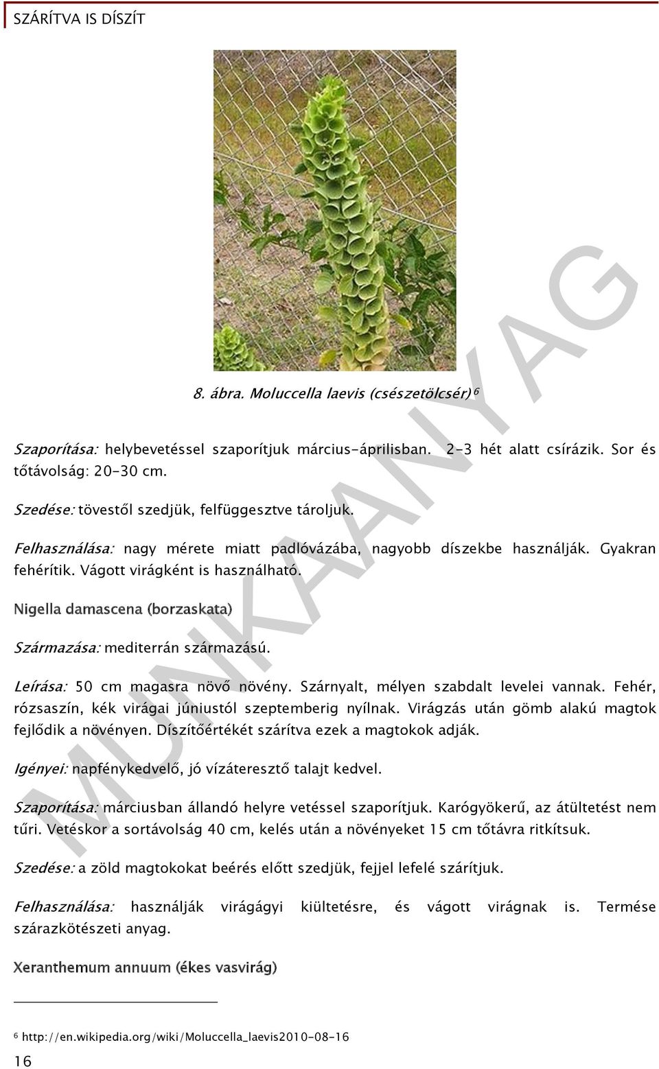 Nigella damascena (borzaskata) Származása: mediterrán származású. Leírása: 50 cm magasra növő növény. Szárnyalt, mélyen szabdalt levelei vannak.