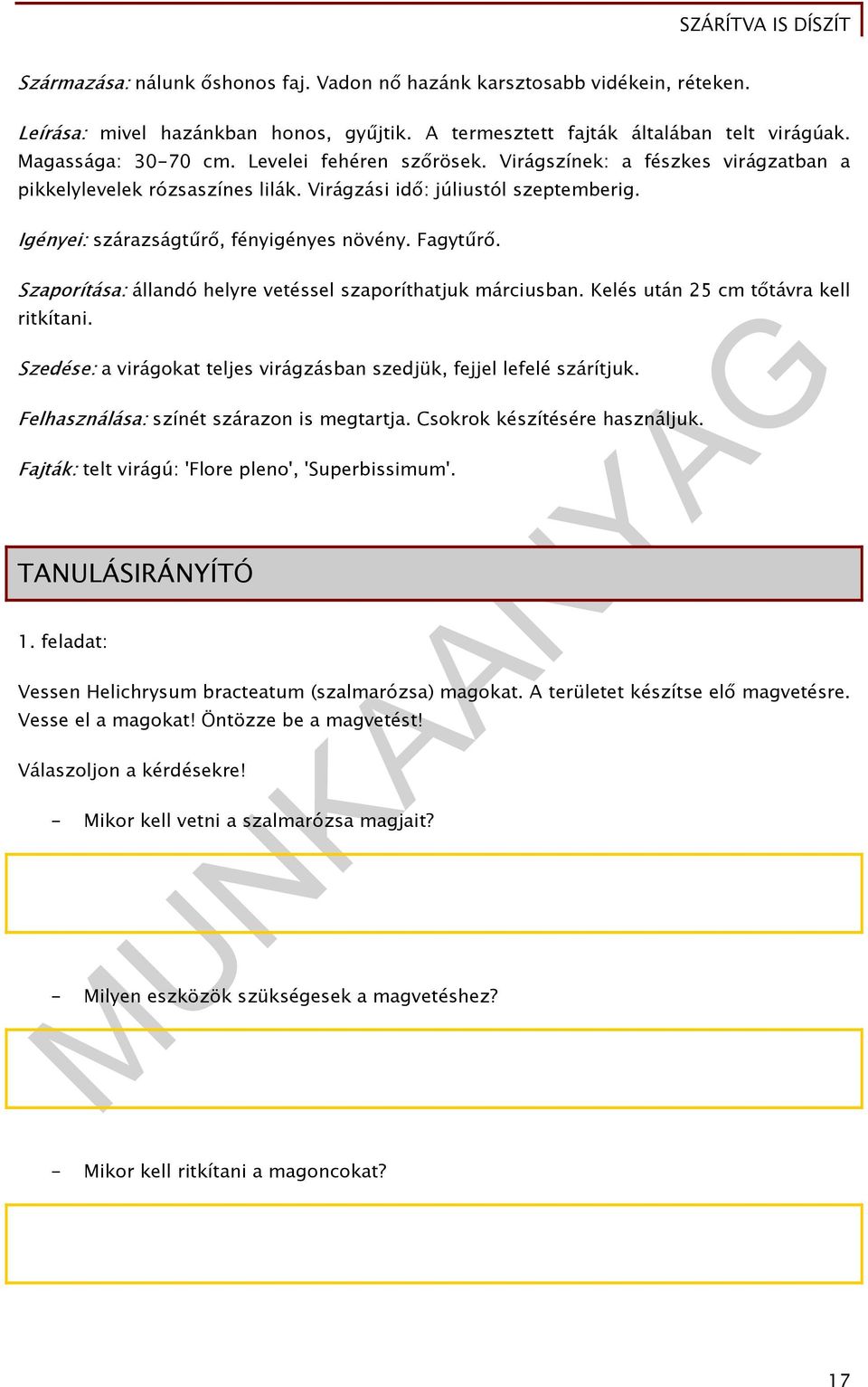 Szaporítása: állandó helyre vetéssel szaporíthatjuk márciusban. Kelés után 25 cm tőtávra kell ritkítani. Szedése: a virágokat teljes virágzásban szedjük, fejjel lefelé szárítjuk.