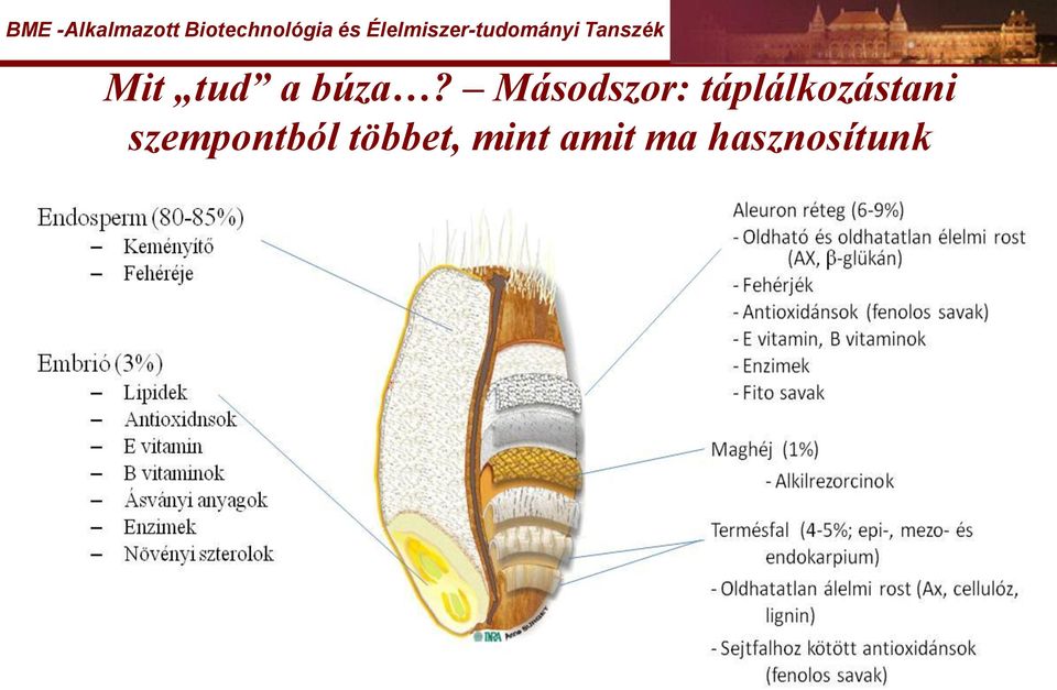 táplálkozástani