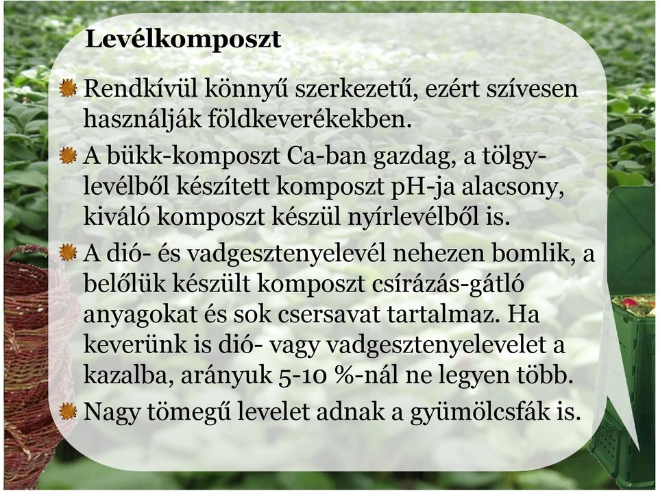 nyírlevélből is.