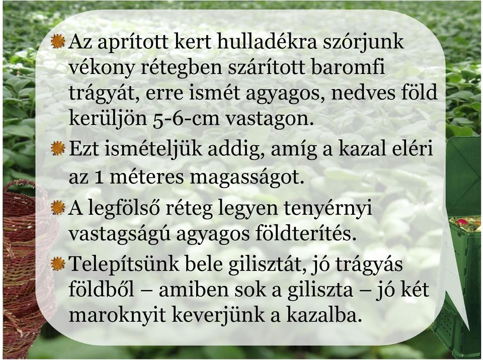 Ezt ismételjük addig, amíg a kazal eléri az 1 méteres magasságot.