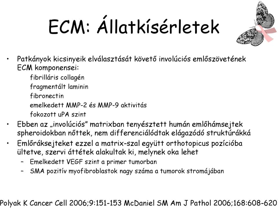 elágazódó struktúrákká Emlőráksejteket ezzel a matrix-szal együtt orthotopicus pozícióba ültetve, szervi áttétek alakultak ki, melynek oka lehet Emelkedett VEGF