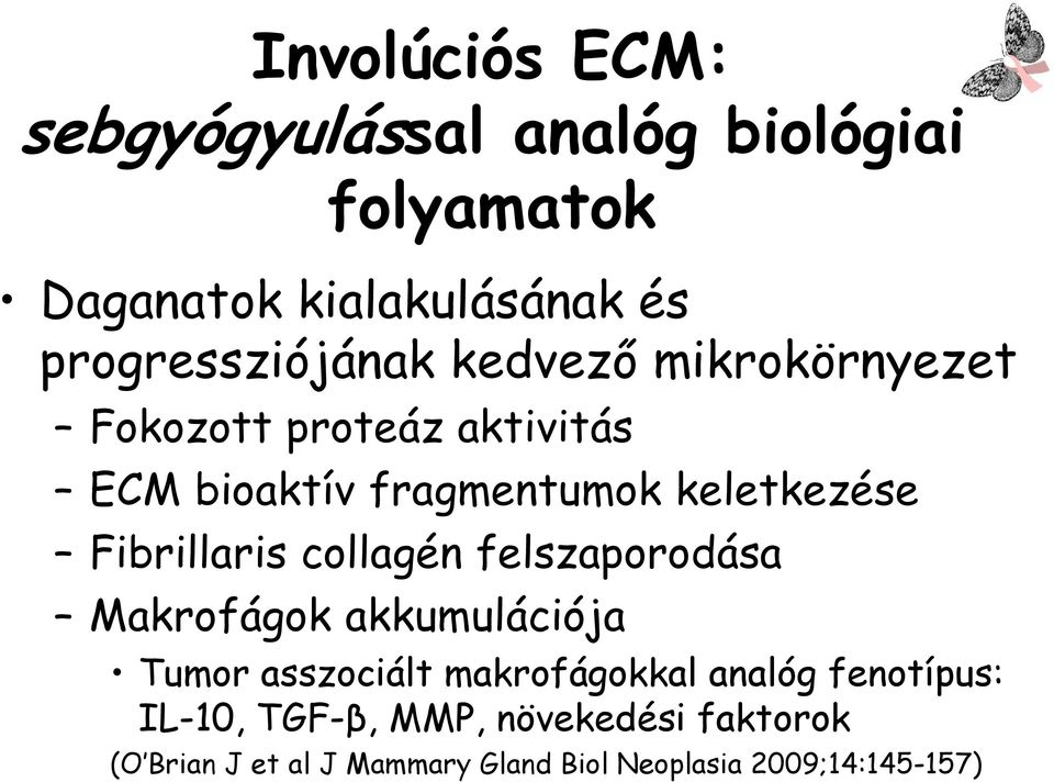 keletkezése Fibrillaris collagén felszaporodása Makrofágok akkumulációja Tumor asszociált