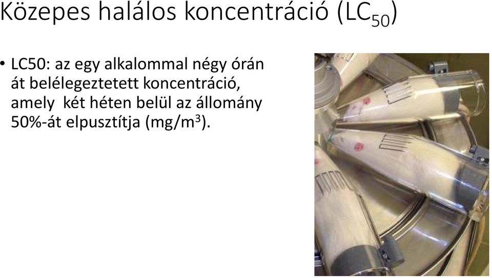 belélegeztetett koncentráció, amely két