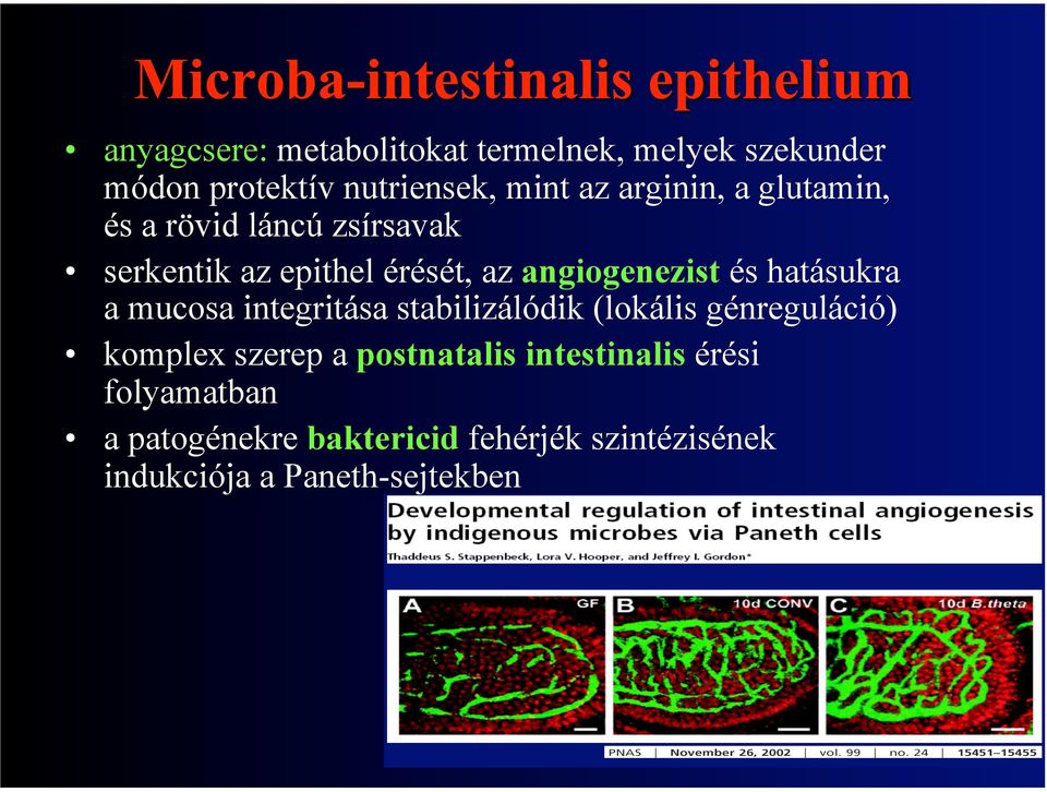 a mucosa integritása stabilizálódik (lokális génreguláció) komplex szerep a postnatalis