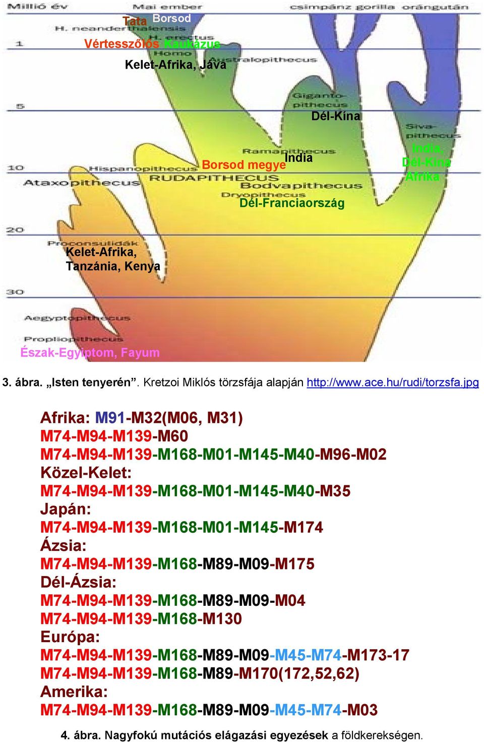 jpg Afrika: M91-M32(M06, M31) M74-M94-M139-M60 M74-M94-M139-M168-M01-M145-M40-M96-M02 Közel-Kelet: M74-M94-M139-M168-M01-M145-M40-M35 Japán: M74-M94-M139-M168-M01-M145-M174 Ázsia: