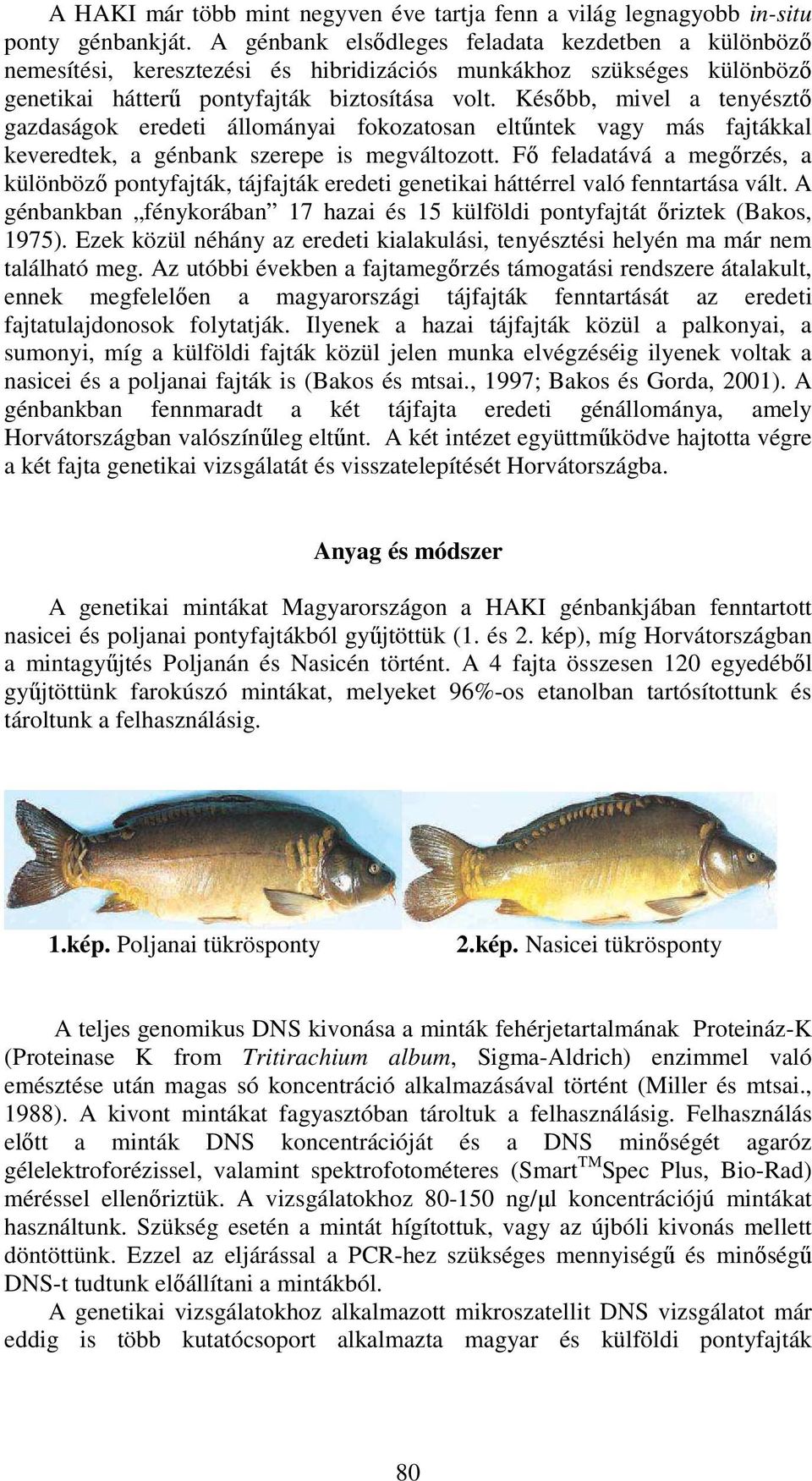 Később, mivel a tenyésztő gazdaságok eredeti állományai fokozatosan eltűntek vagy más fajtákkal keveredtek, a génbank szerepe is megváltozott.