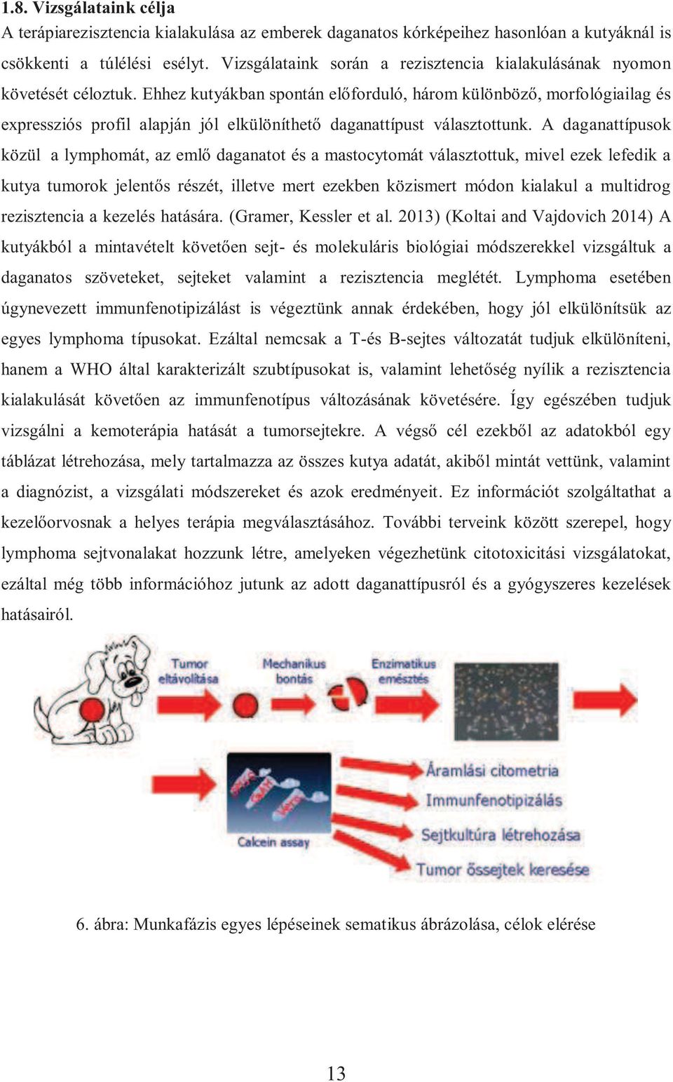 Ehhez kutyákban spontán előforduló, három különböző, morfológiailag és expressziós profil alapján jól elkülöníthető daganattípust választottunk.