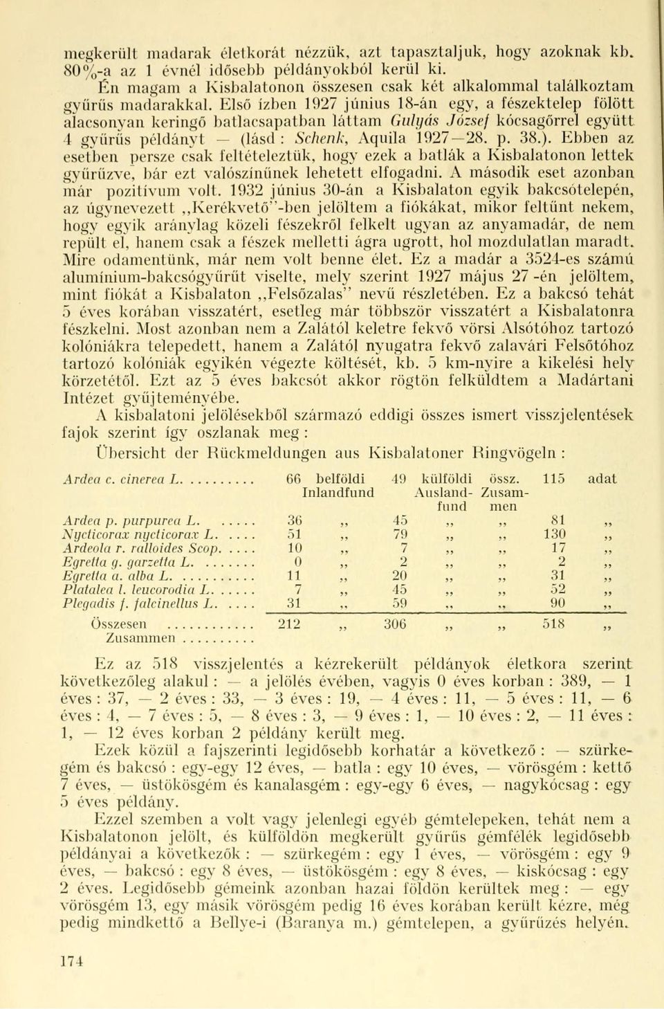 Első ízben 192 június 18-án egy, a fészektelep fölött alacsonyan keringő batlacsapatban láttam Gulyás József kócsagőrrel együtt 1 gyűrűs példányt (lásd : Schenk, Aquila 192 28. p. 38.).