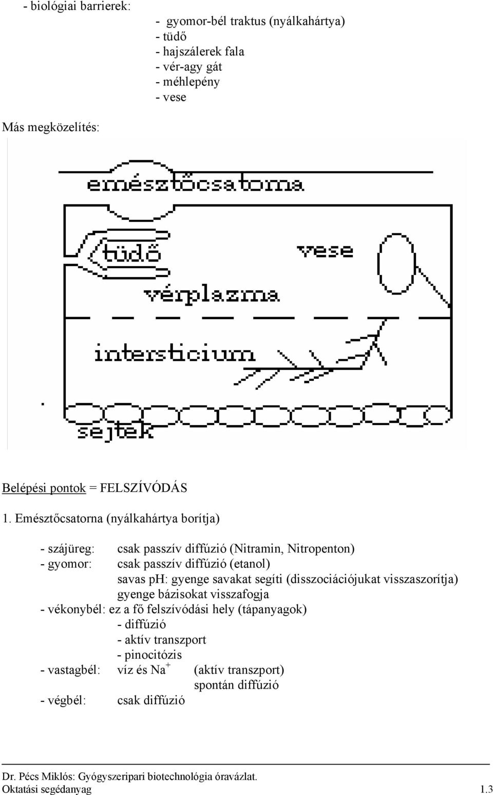 Emésztőcsatorna (nyálkahártya borítja) - szájüreg: csak passzív diffúzió (itramin, itropenton) - gyomor: csak passzív diffúzió (etanol) savas p: