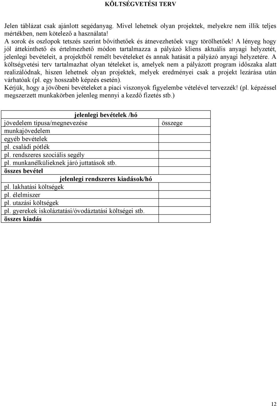 A lényeg hogy jól áttekinthető és értelmezhető módon tartalmazza a pályázó kliens aktuális anyagi helyzetét, jelenlegi bevételeit, a projektből remélt bevételeket és annak hatását a pályázó anyagi