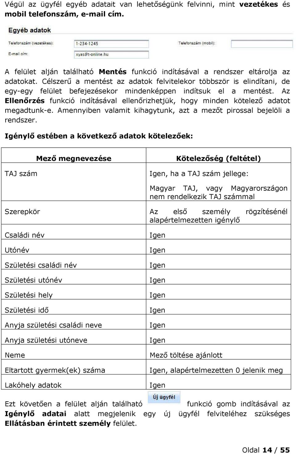 Az Ellenőrzés funkció indításával ellenőrizhetjük, hogy minden kötelező adatot megadtunk-e. Amennyiben valamit kihagytunk, azt a mezőt pirossal bejelöli a rendszer.