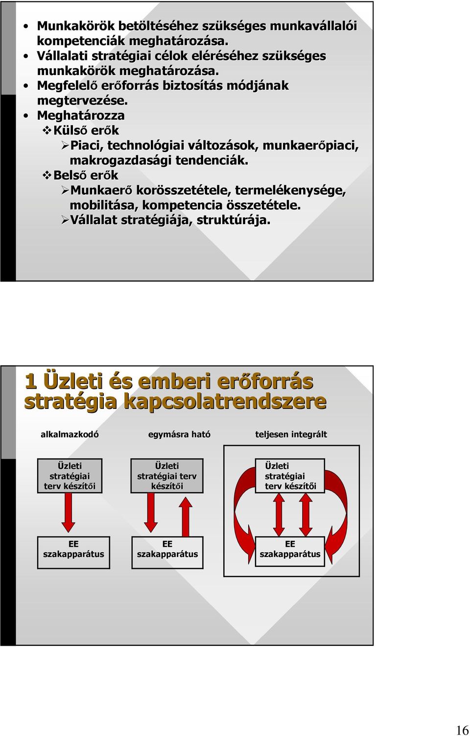 Belsı erık Munkaerı korösszet sszetétele, tele, termelékenys kenysége, mobilitása, kompetencia összetétele. tele. Vállalat stratégi giája, struktúrája.