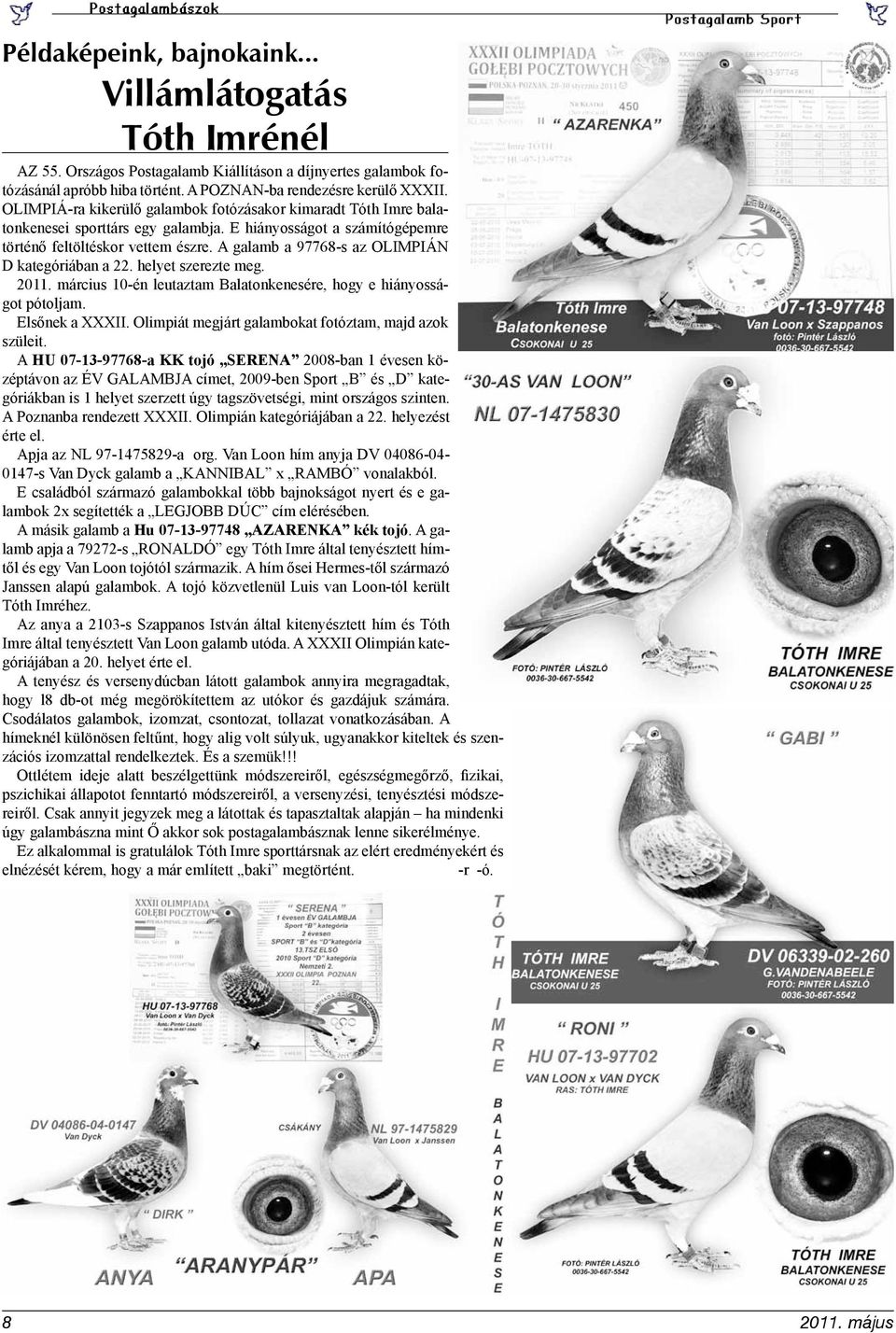 A galamb a 97768-s az OLIMPIÁN D kategóriában a 22. helyet szerezte meg. 2011. március 10-én leutaztam Balatonkenesére, hogy e hiányosságot pótoljam. Elsőnek a XXXII.