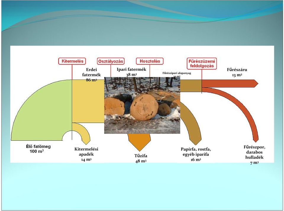 Kitermelési apadék 14 m 3 Tűzifa 48 m 3 Papírfa,