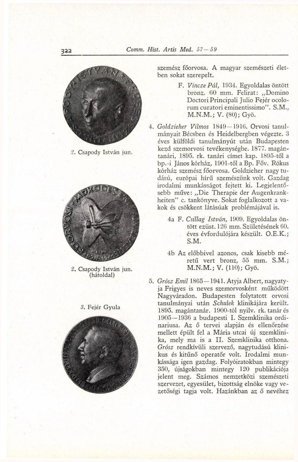 3 éves külföldi tanulmányút után Budapesten kezd szemorvosi tevékenységbe. 1877. magántanári, 1895. rk. tanári címet kap. 1895-től a bp.-i János kórház, 1901-től a Bp. Főv.