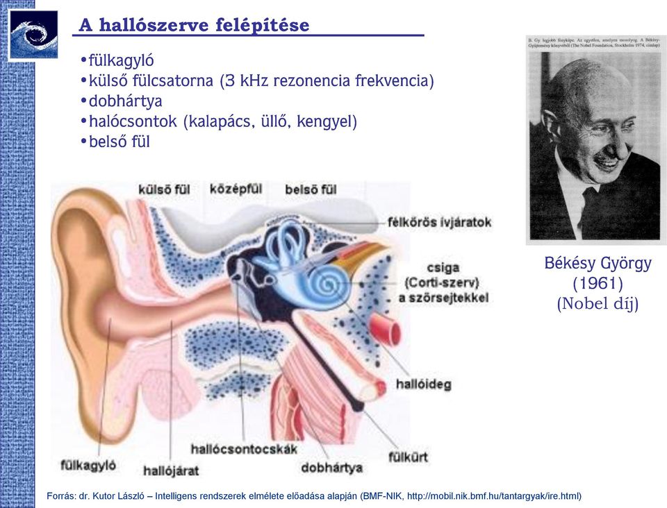 Kutor László Intelligens rendszerek