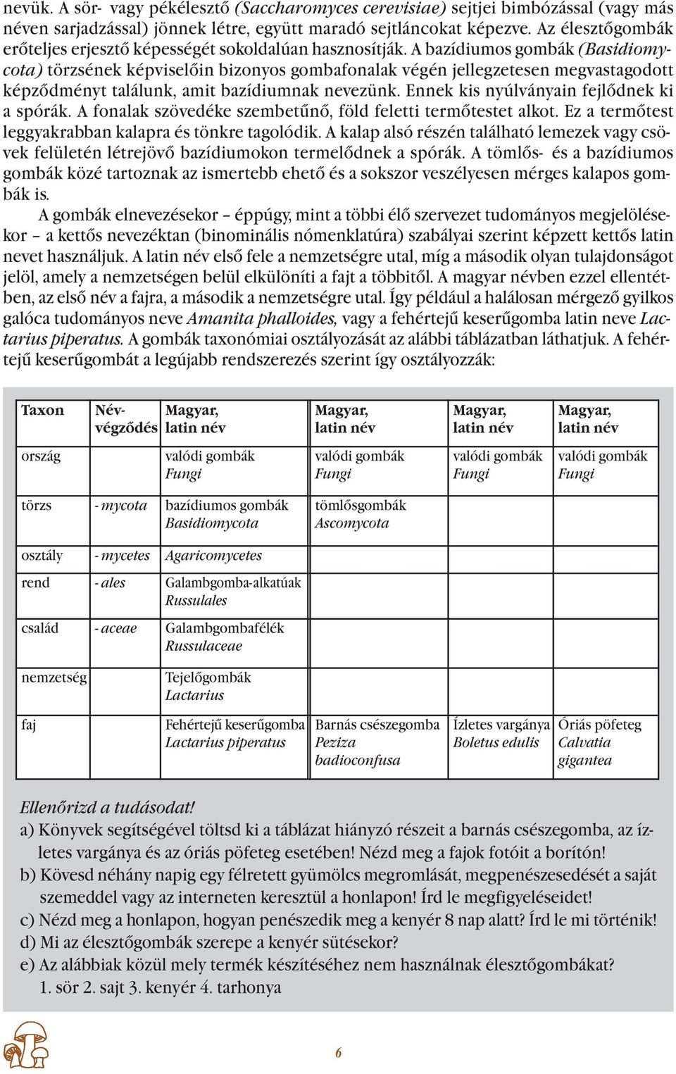 A bazídiumos gombák (Basidiomycota) törzsének képviselőin bizonyos gombafonalak végén jellegzetesen megvastagodott képződményt találunk, amit bazídiumnak nevezünk.