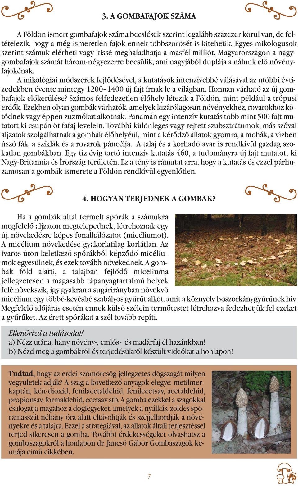 Magyarországon a nagygombafajok számát három-négyezerre becsülik, ami nagyjából duplája a nálunk élő növényfajokénak.