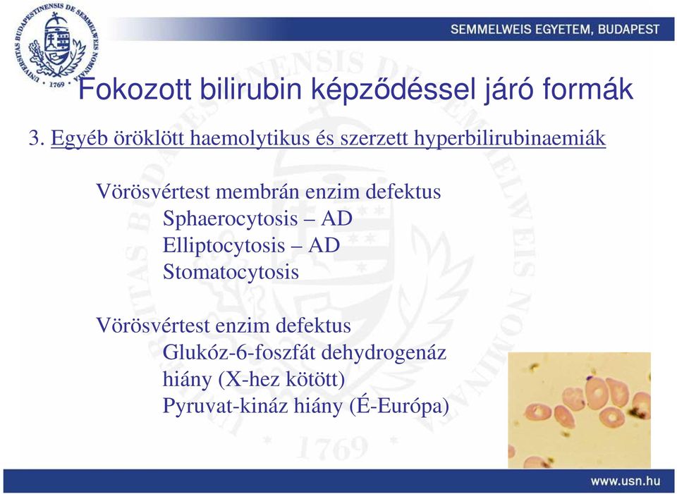 membrán enzim defektus Sphaerocytosis AD Elliptocytosis AD Stomatocytosis