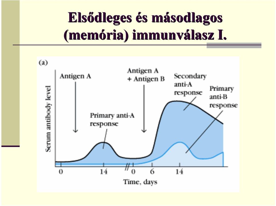 másodlagos