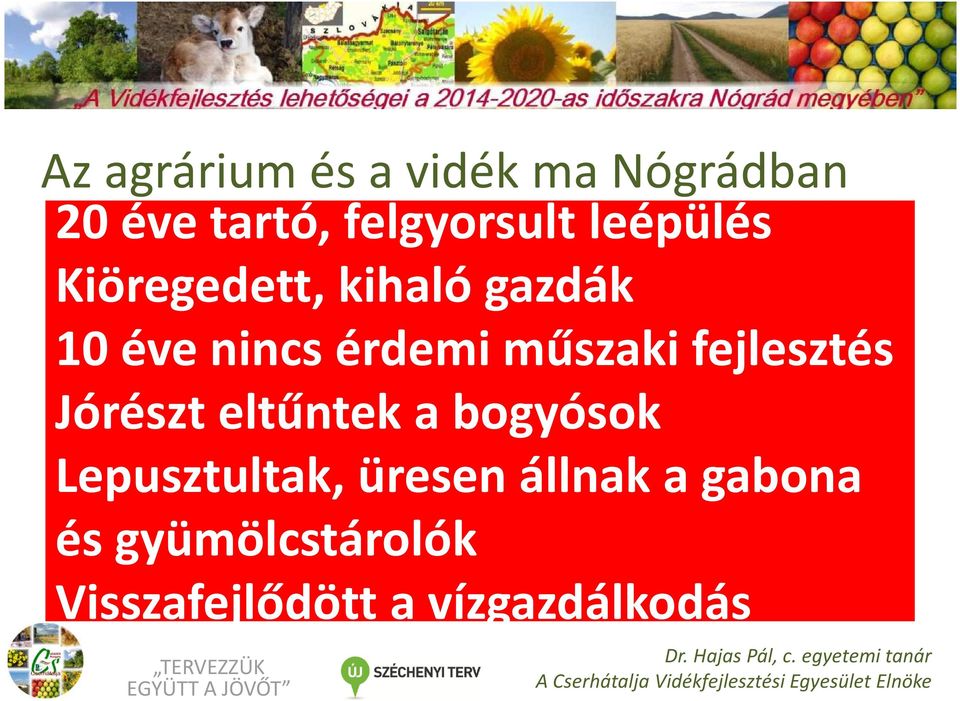 fejlesztés Jórészt eltűntek a bogyósok Lepusztultak, üresen