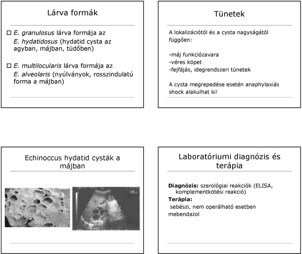 alveolaris (nyúlványok, rosszindulatú forma a májban) A lokalizációtól és a cysta nagyságától függően: -máj funkciózavara -véres