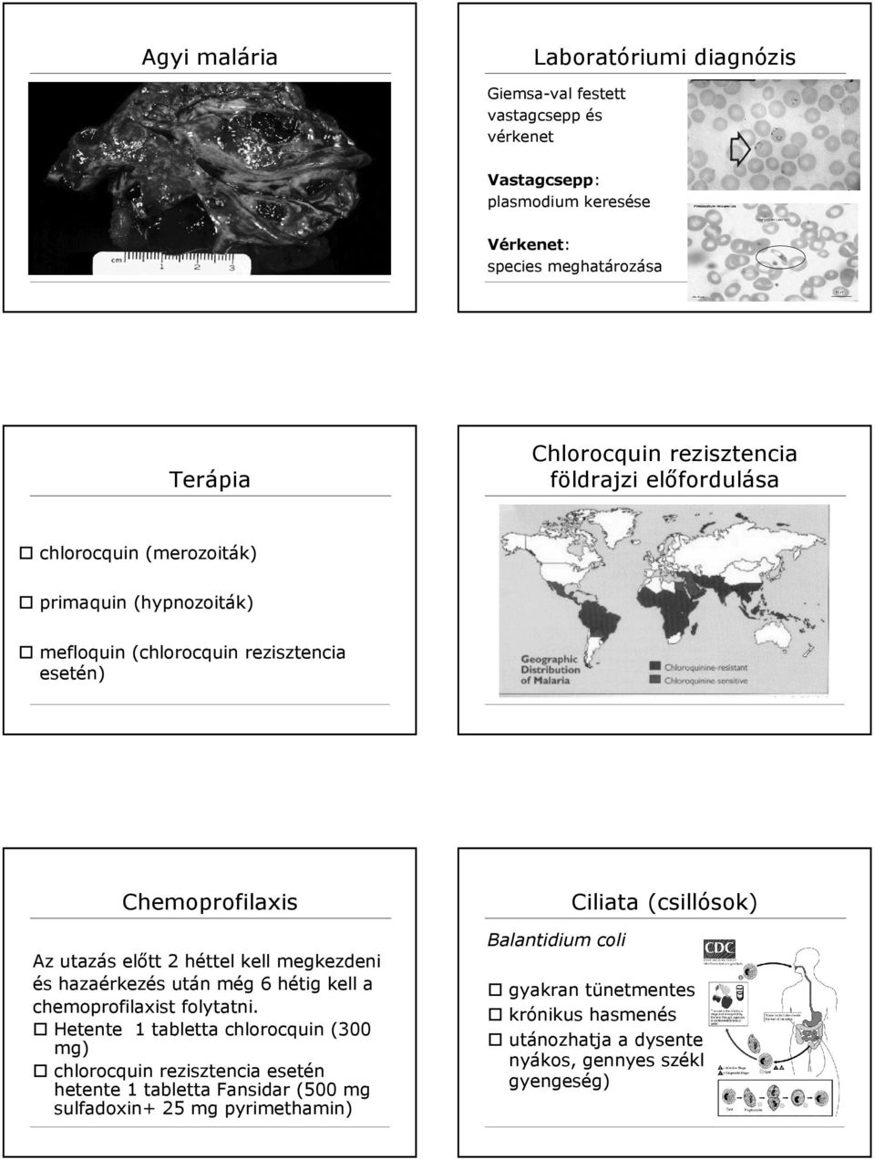 hazaérkezés után még 6 hétig kell a chemoprofilaxist folytatni.