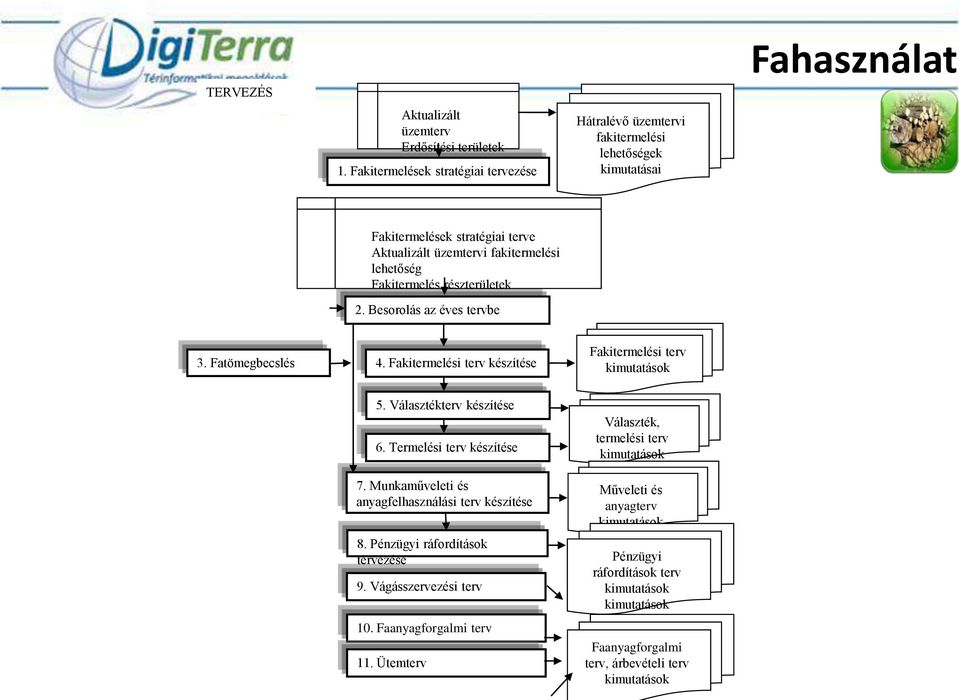 lehetőség Fakitermelés részterületek 2. Besorolás az éves tervbe 3. Fatömegbecslés 4. Fakitermelési terv készítése Fakitermelési terv 5. Választékterv készítése 6.