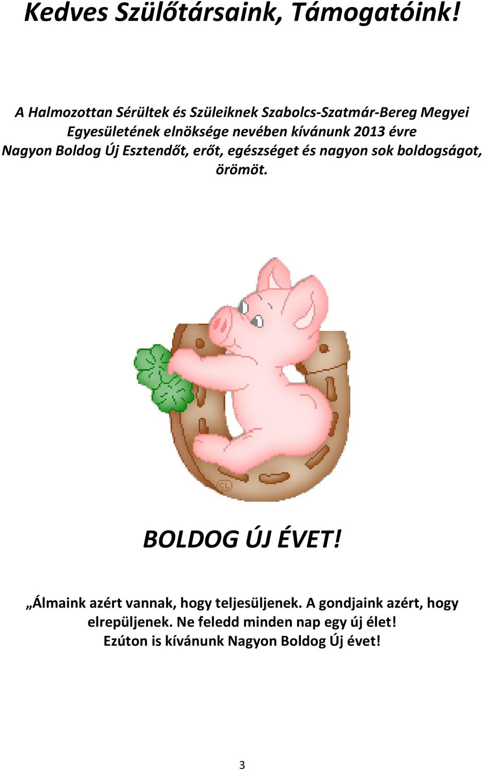 kívánunk 2013 évre Nagyon Boldog Új Esztendőt, erőt, egészséget és nagyon sok boldogságot, örömöt.