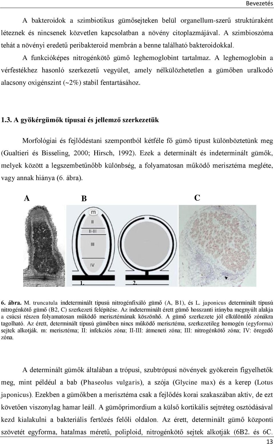 A leghemoglobin a vérfestékhez hasonló szerkezetű vegyület, amely nélkülözhetetlen a gümőben uralkodó alacsony oxigénszint (~2%) stabil fentartásához. 1.3.