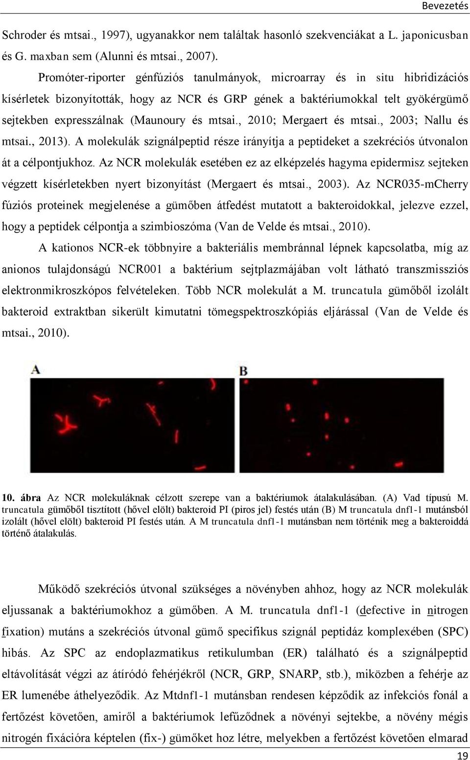 mtsai., 2010; Mergaert és mtsai., 2003; Nallu és mtsai., 2013). A molekulák szignálpeptid része irányítja a peptideket a szekréciós útvonalon át a célpontjukhoz.